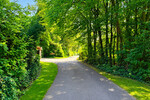 Traumhaftes Baugrundstück in Naturlage von Wolbeck! - Grundstück Münster / Wolbeck Wolbeck | Angebot:27083053